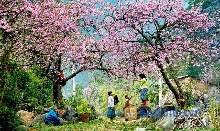 Siêu phẩm nhà vườn mặt tiền sông lớn3